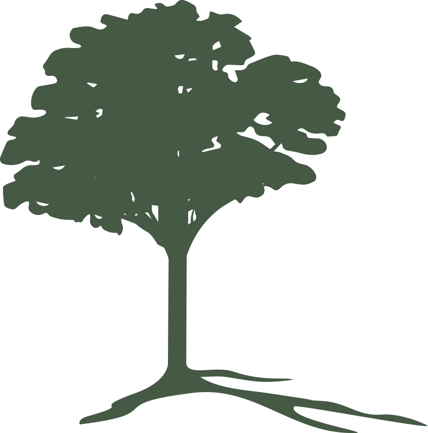 The tree graphic element from the Shady Nook logo